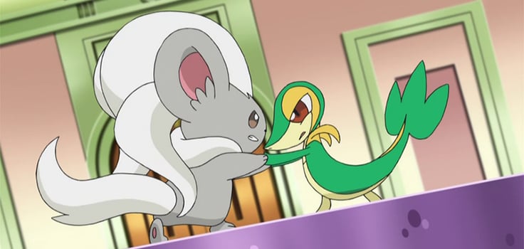 Watch Pokémon the Series: Black & White - Free TV Shows